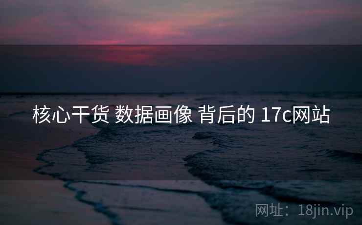 核心干货 数据画像 背后的 17c网站 第2张 核心干货 数据画像 背后的 17c网站 第2张