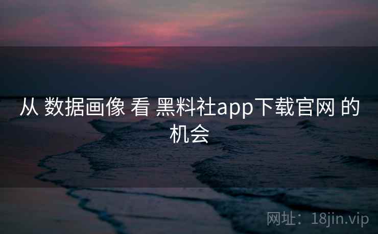 从 数据画像 看 黑料社app下载官网 的机会  第1张