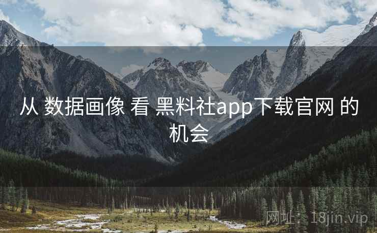 从 数据画像 看 黑料社app下载官网 的机会  第2张