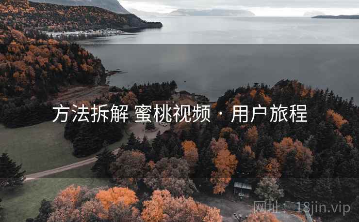 方法拆解 蜜桃视频 · 用户旅程  第1张
