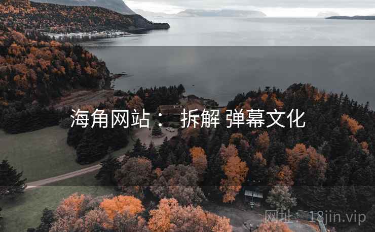 海角网站 : 拆解 弹幕文化 第2张 海角网站 : 拆解 弹幕文化 第2张