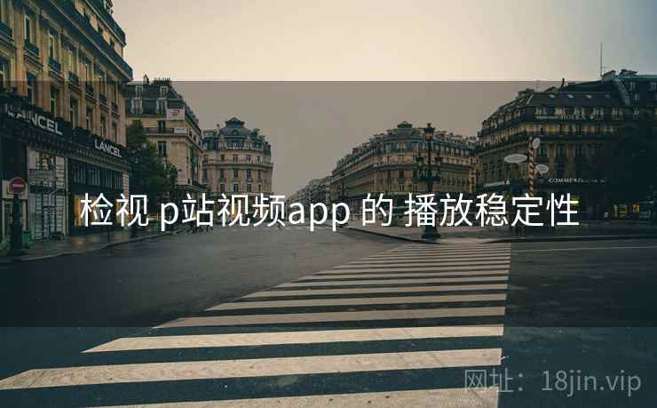 检视 p站视频app 的 播放稳定性 第2张 检视 p站视频app 的 播放稳定性 第2张